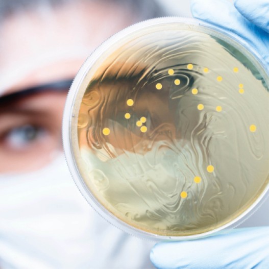 Reduce biofilm growth